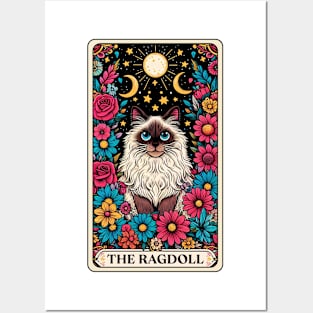 Ragdoll Cat Tarot Card Posters and Art